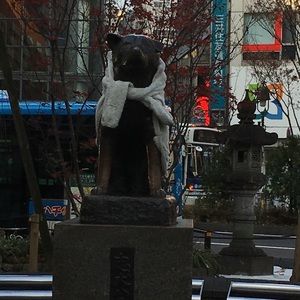 Meet your Posher, Charlene